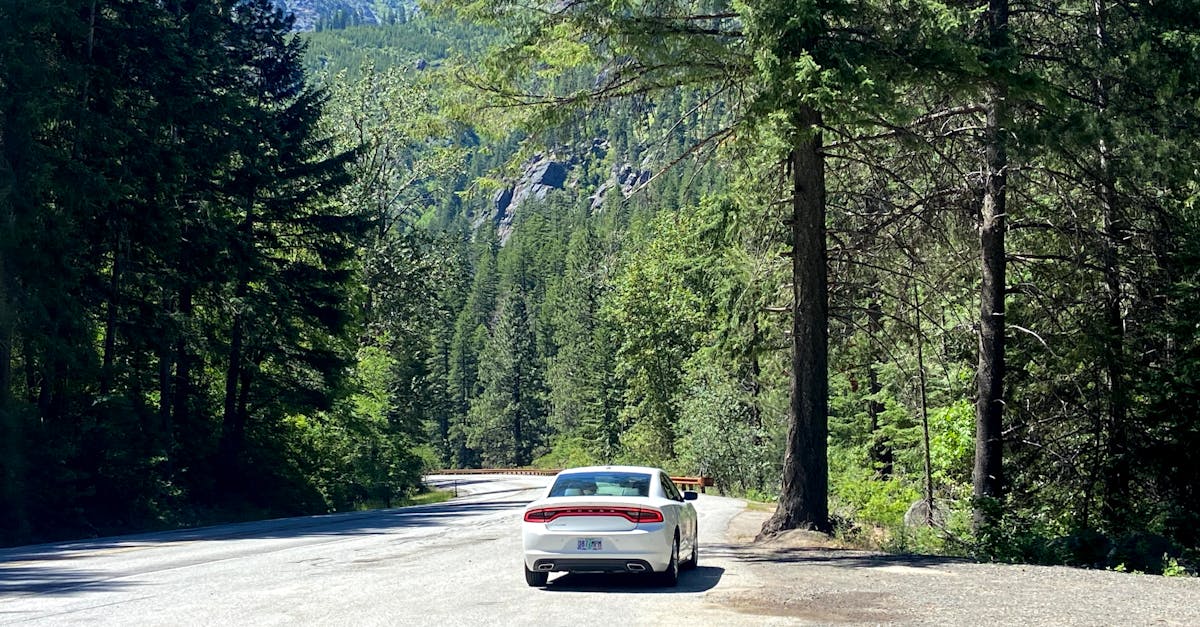 Cómo pasar un control de documentación en carretera sin retrasos ni multas