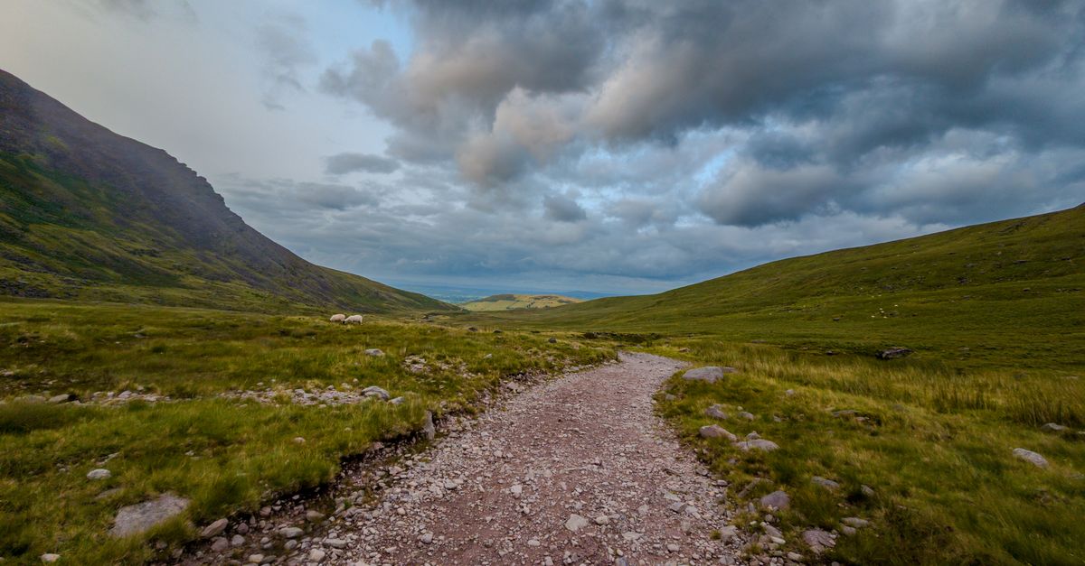 Friday showers may turn heavy, with the west and north seeing most